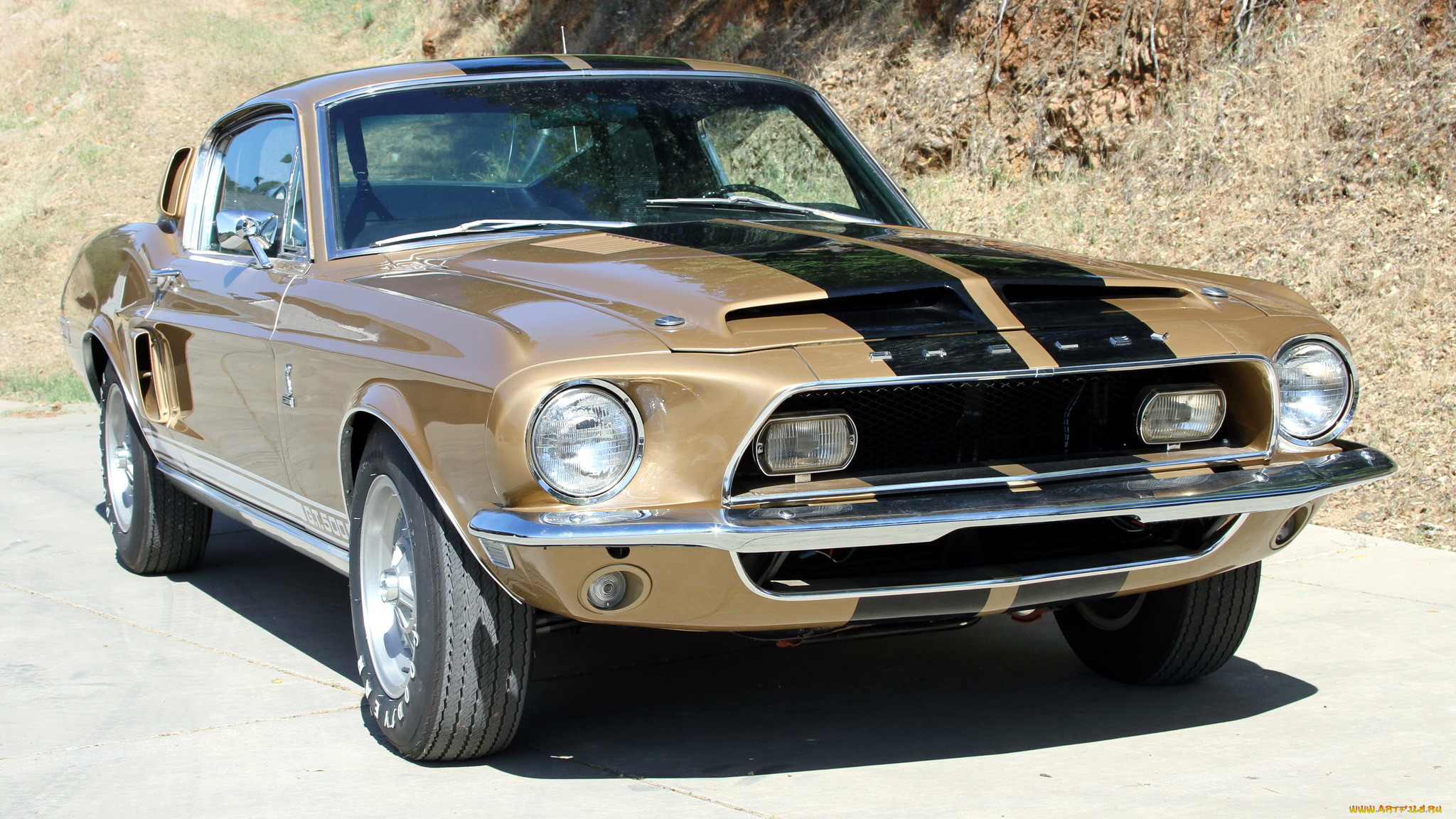 ford, mustang, , motor, company, 